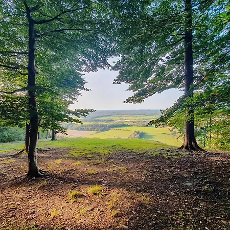 Prázdninový dům Le Nid De La Trappiste - Maison Avec Jardin Et Barbecue *