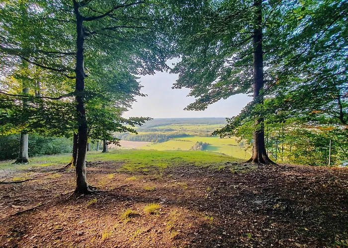 Дом отдыха Le Nid De La Trappiste - Maison Avec Jardin Et Barbecue *